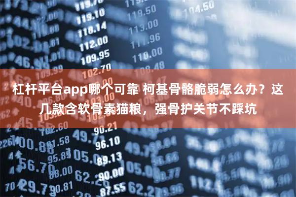 杠杆平台app哪个可靠 柯基骨骼脆弱怎么办？这几款含软骨素猫粮，强骨护关节不踩坑