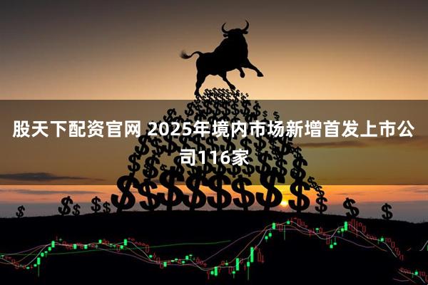 股天下配资官网 2025年境内市场新增首发上市公司116家